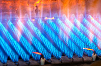 Woodbury Salterton gas fired boilers